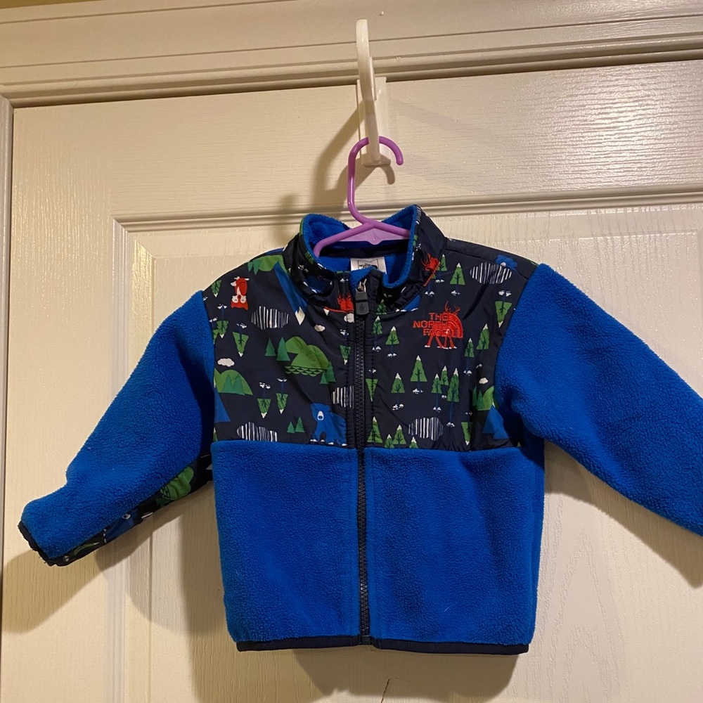 North face Denali